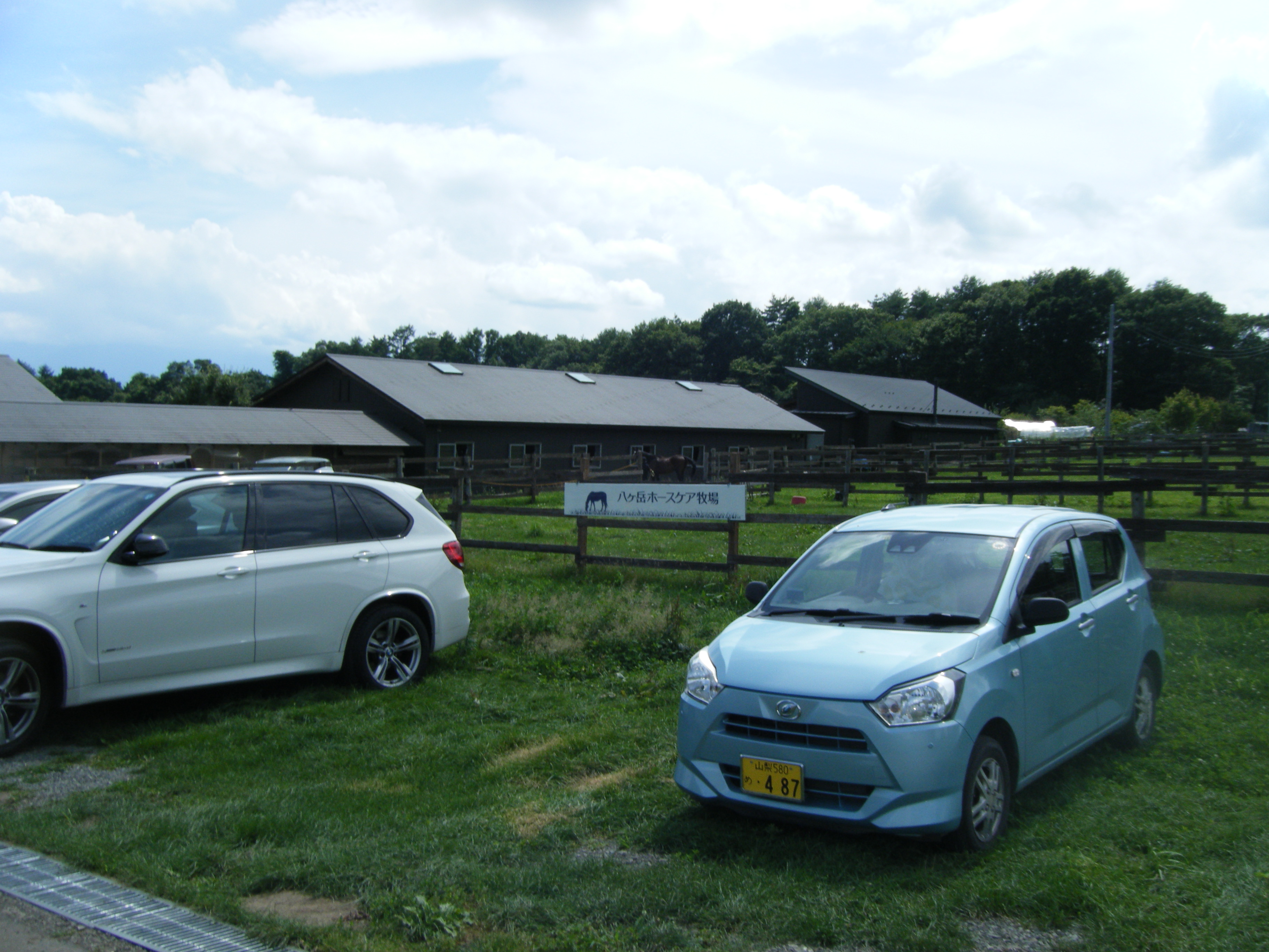 八ヶ岳ホースケア牧場