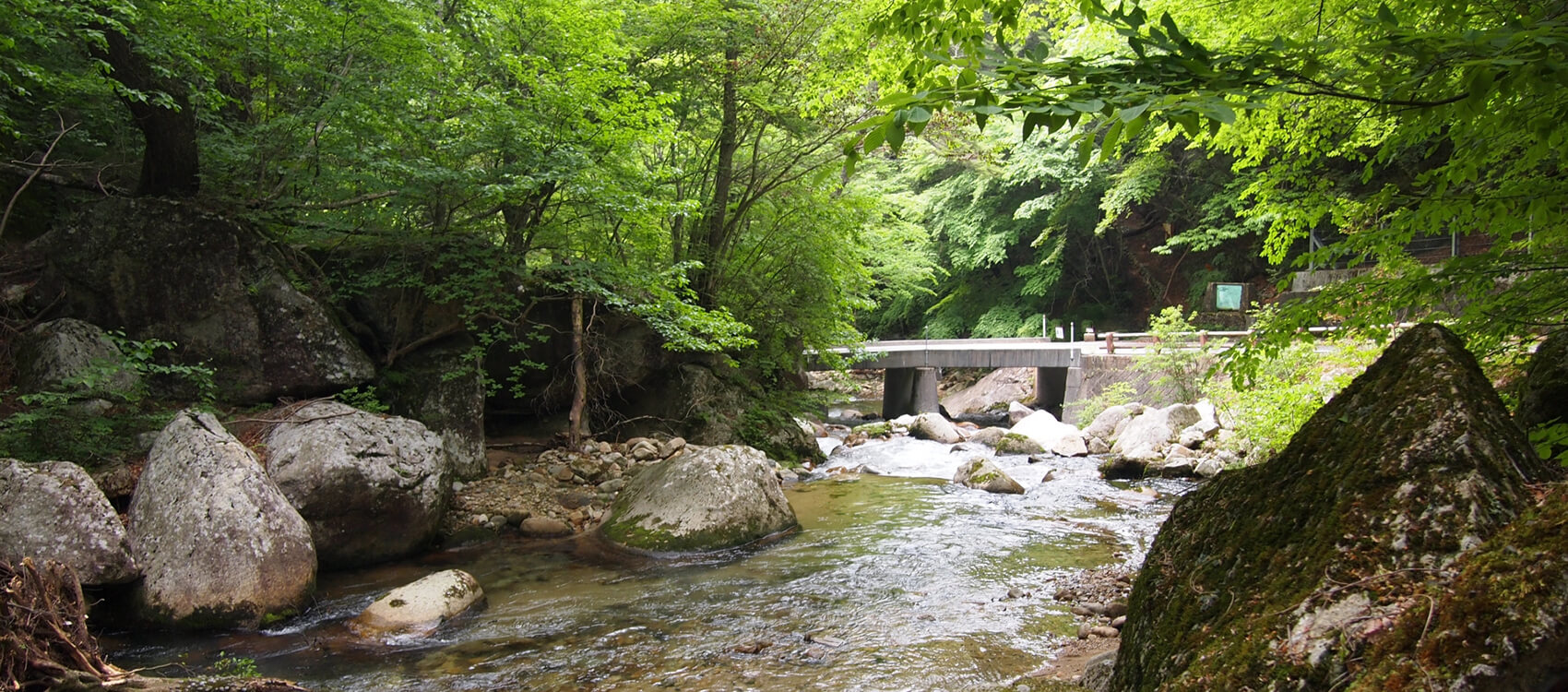 株式会社ユリスコ